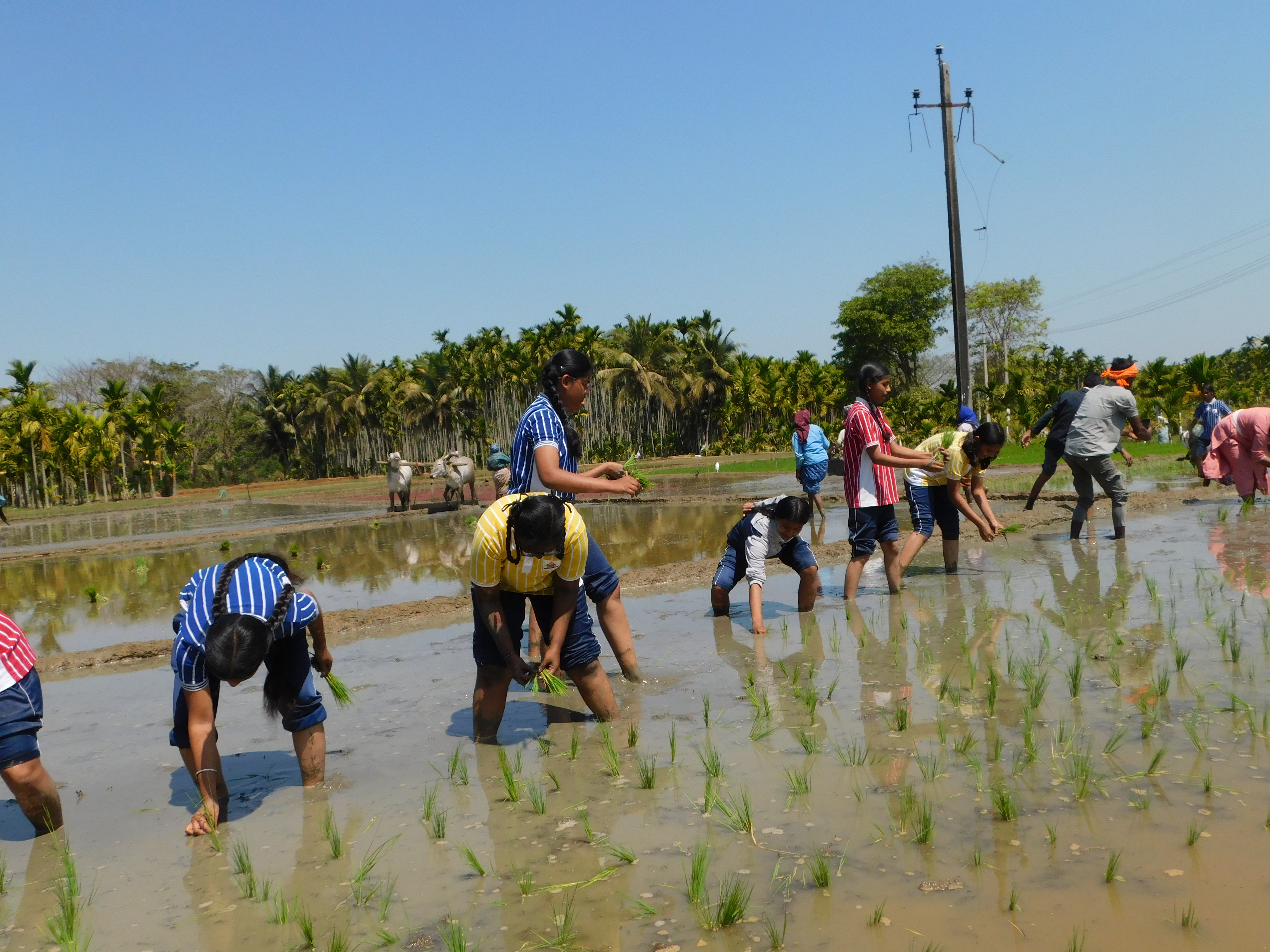 Krishna Janmashtami Image 2