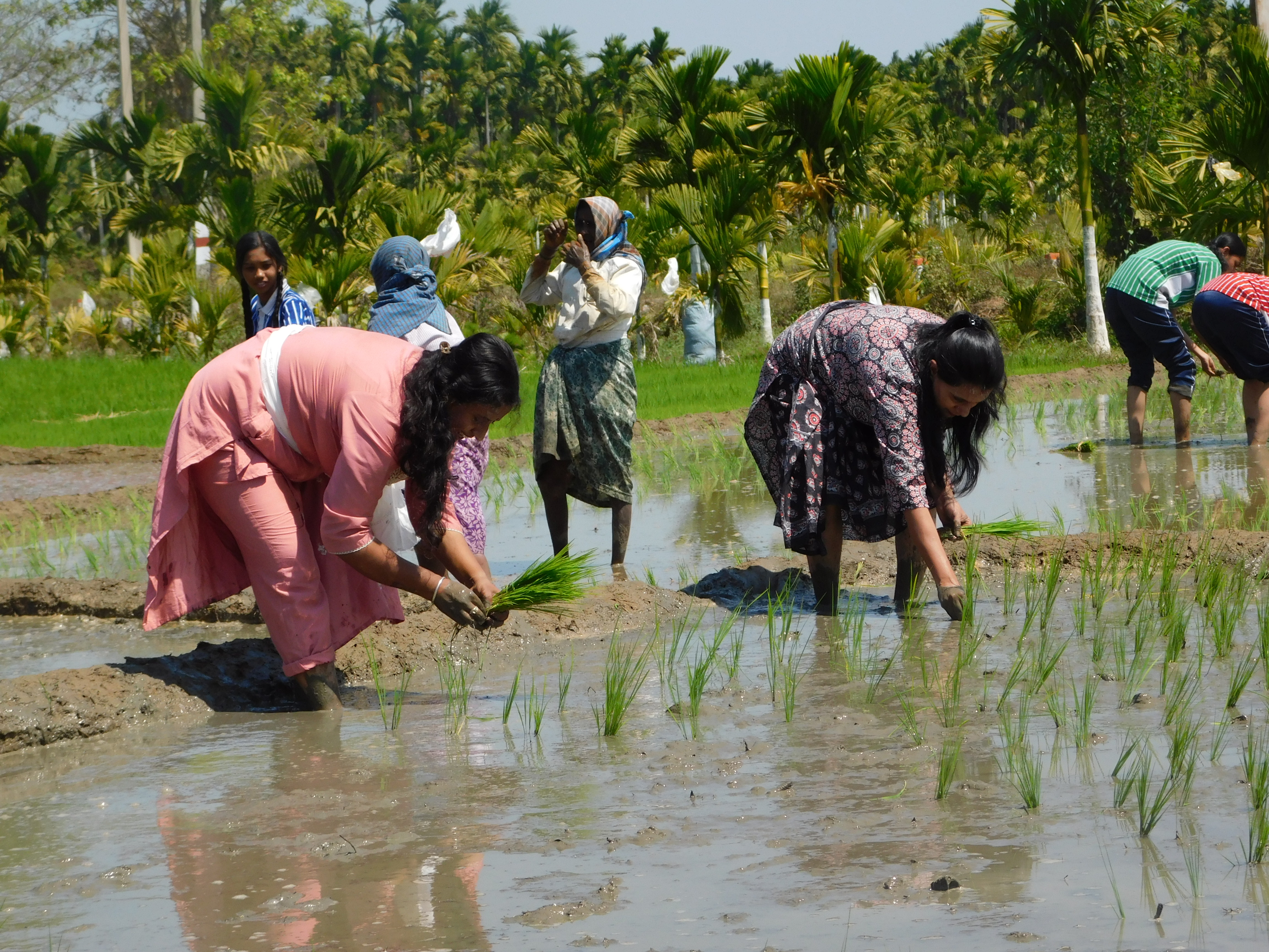 Krishna Janmashtami Image 3