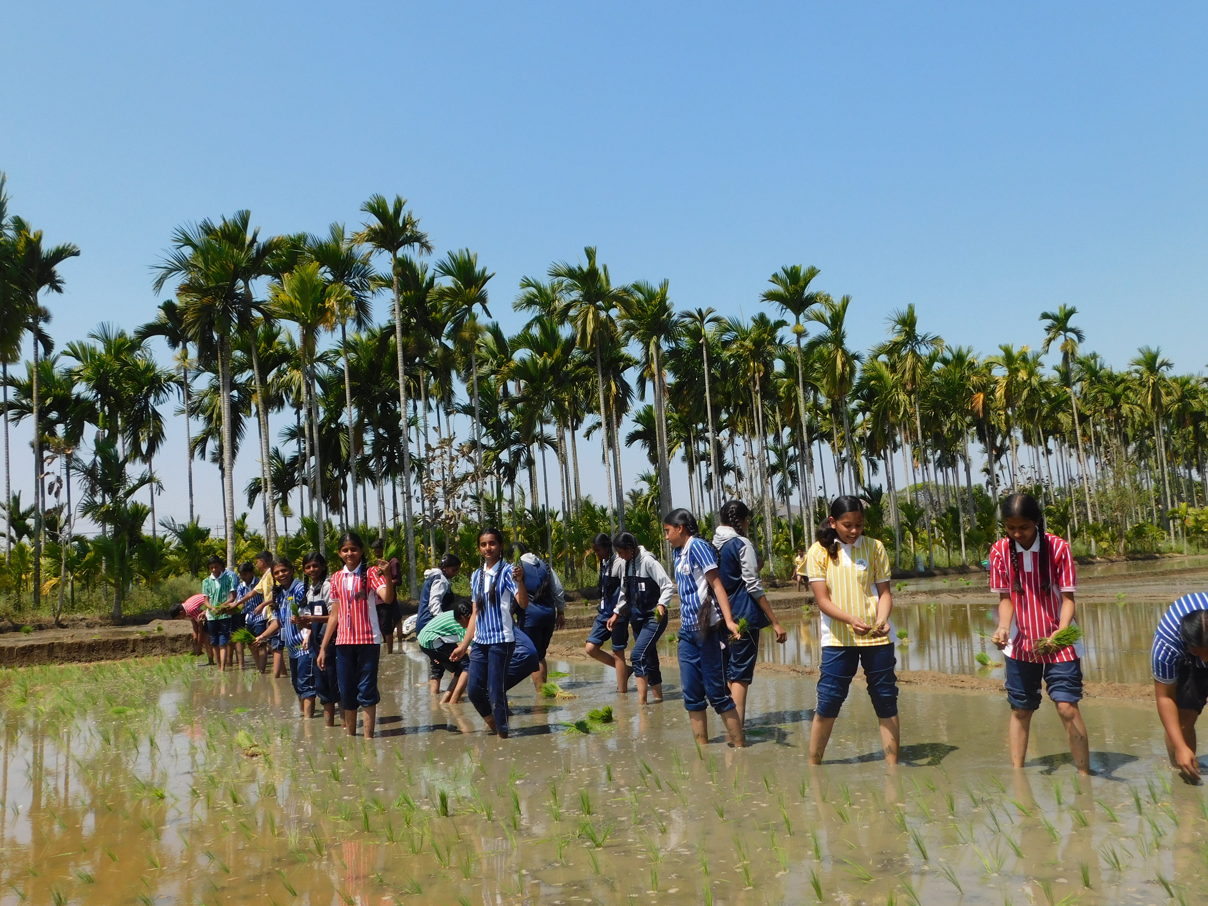 Krishna Janmashtami Image 9