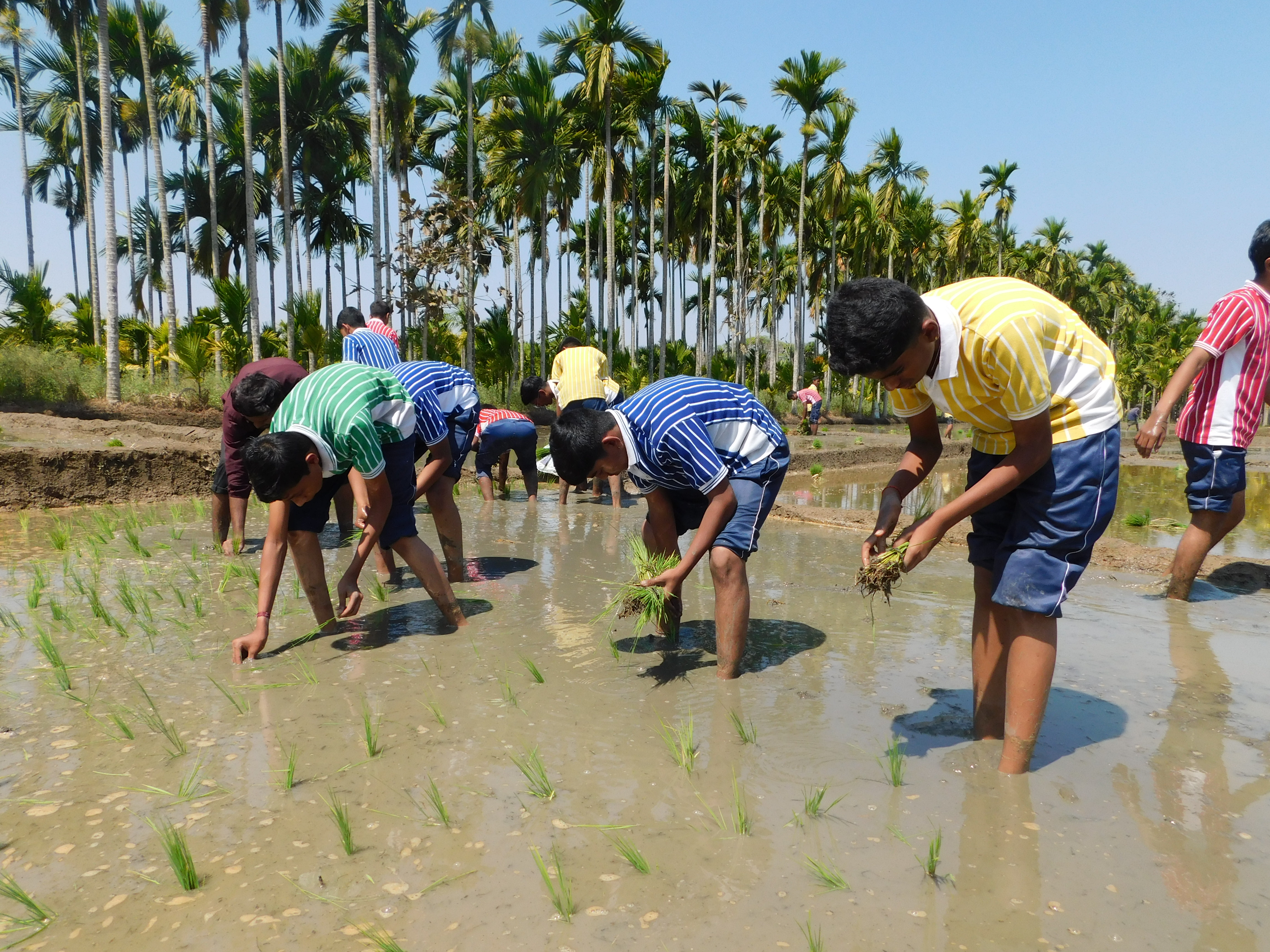 Krishna Janmashtami Image 4