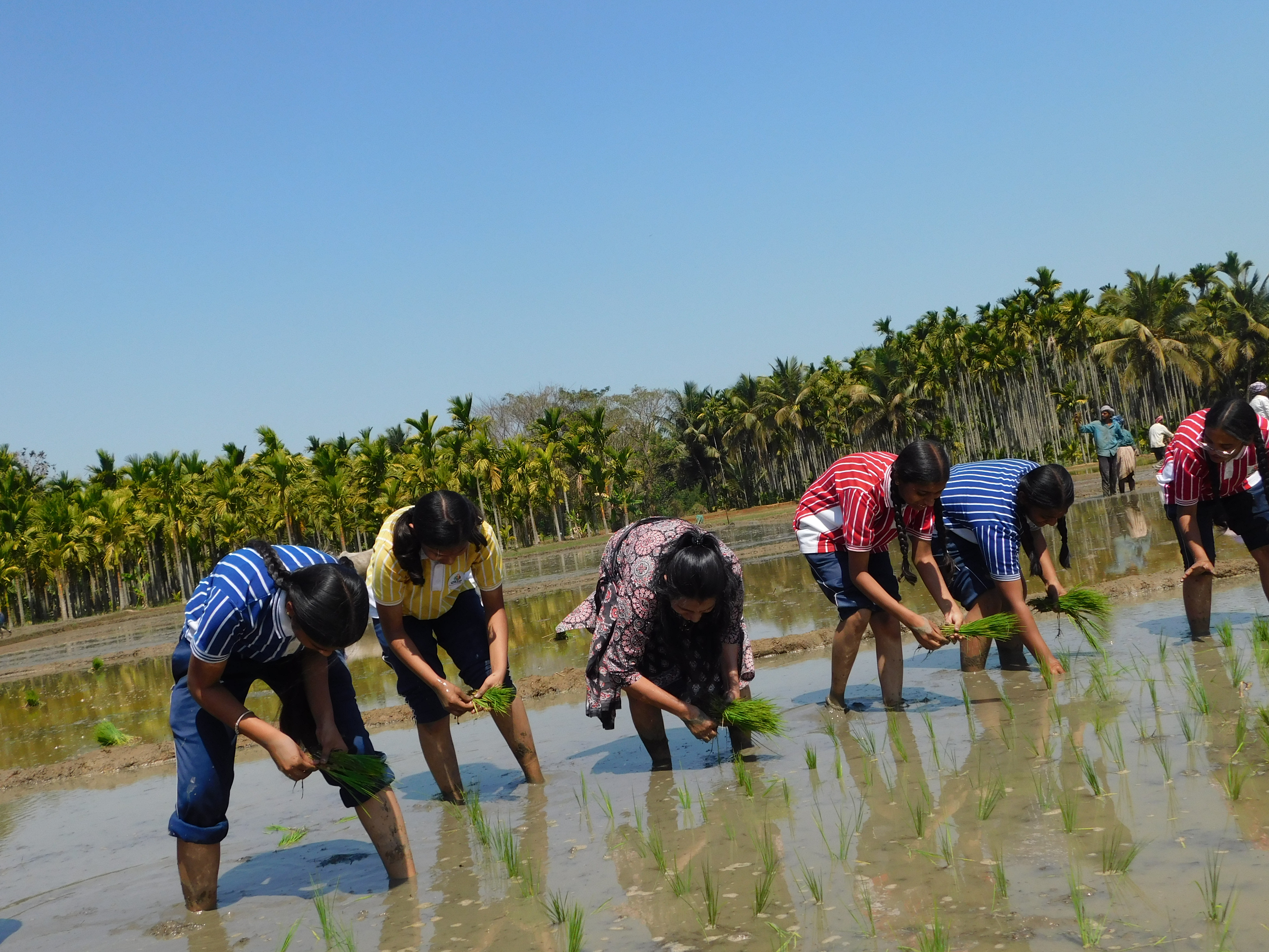 Krishna Janmashtami Image 5