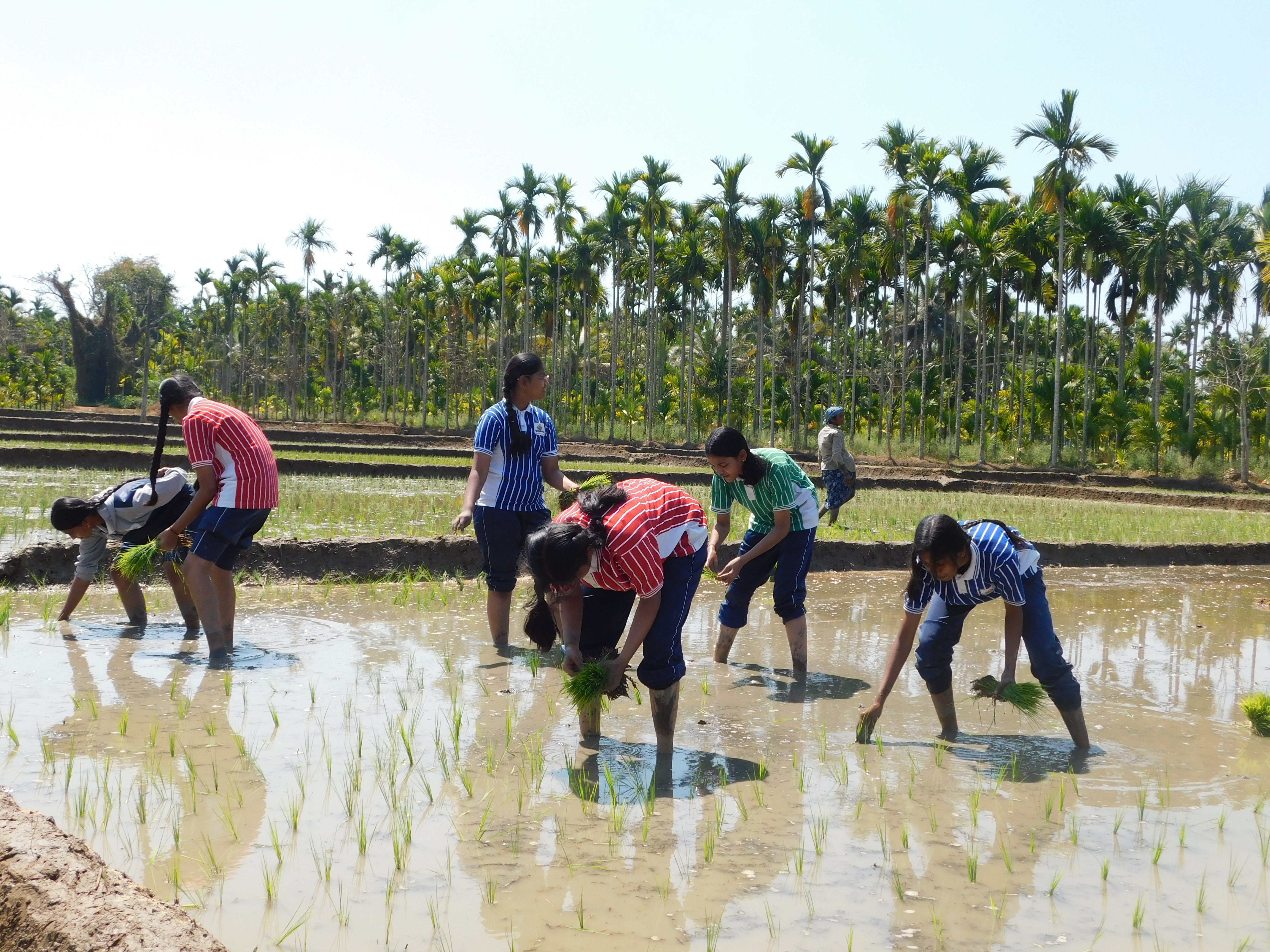 Krishna Janmashtami Image 7